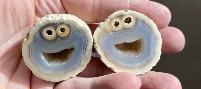 Geologist Slices Rock and Finds... The Cookie Monster!?