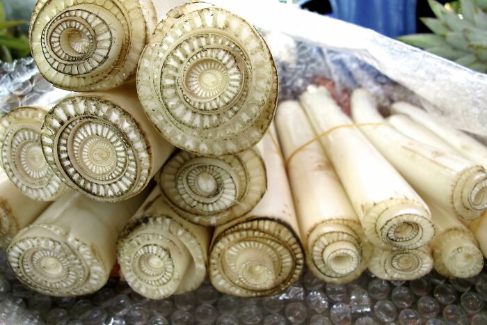 Wait 'Til You See These Everyday Things Sliced In Half—Mind Blown!