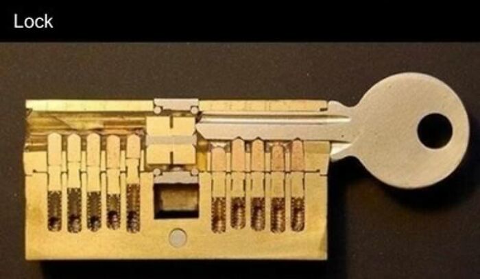 Wait 'Til You See These Everyday Things Sliced In Half—Mind Blown!