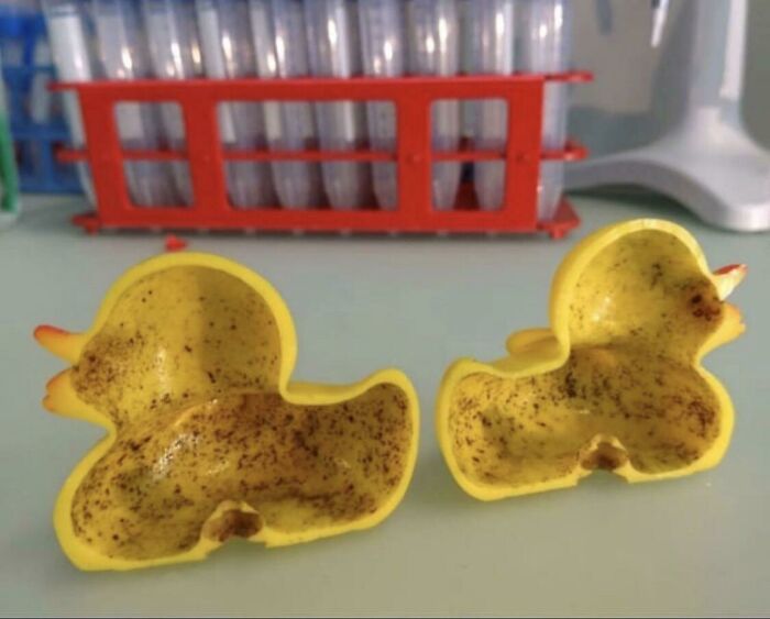 Wait 'Til You See These Everyday Things Sliced In Half—Mind Blown!