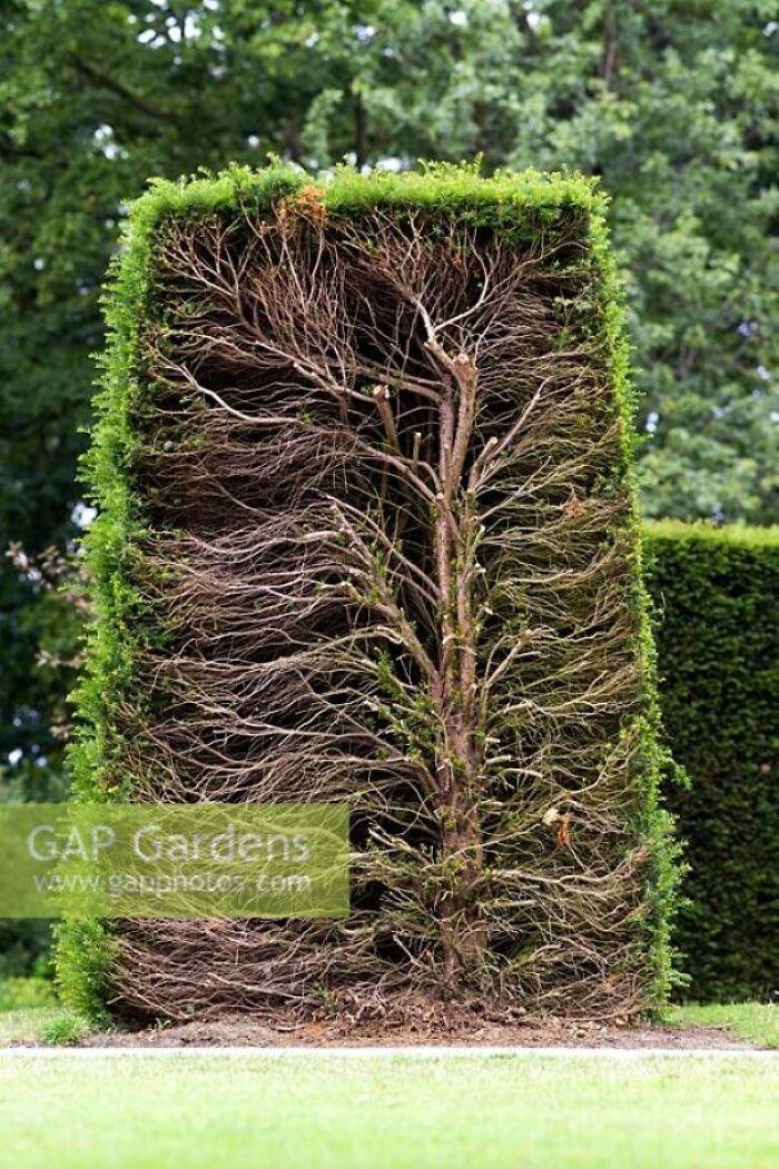 Wait 'Til You See These Everyday Things Sliced In Half—Mind Blown!