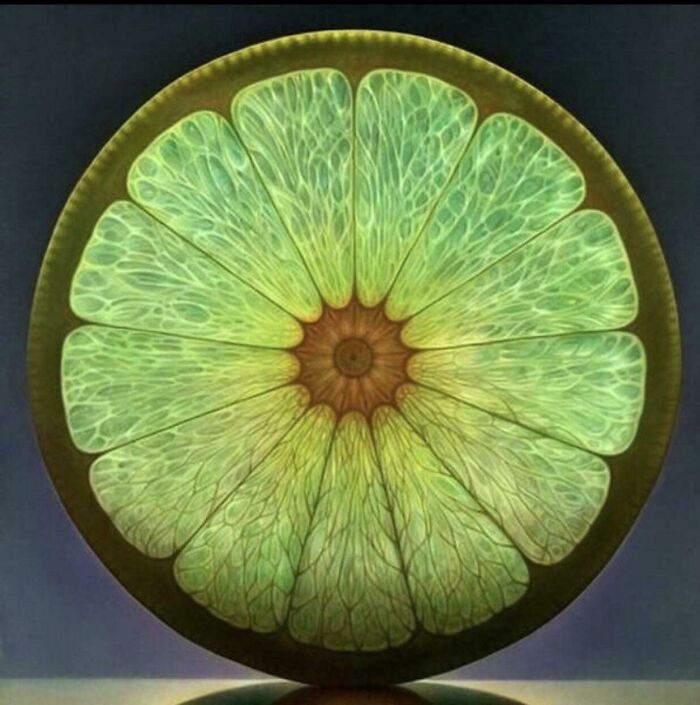 Wait 'Til You See These Everyday Things Sliced In Half—Mind Blown!