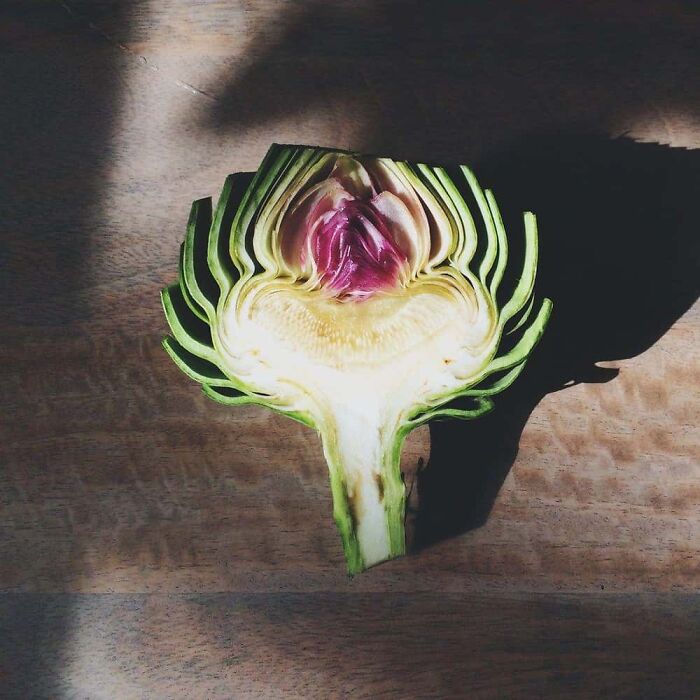 Wait 'Til You See These Everyday Things Sliced In Half—Mind Blown!