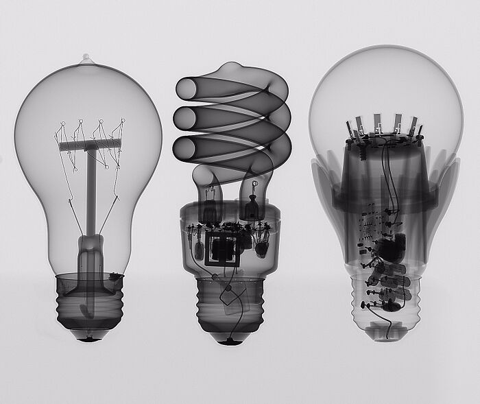 Wait 'Til You See These Everyday Things Sliced In Half—Mind Blown!