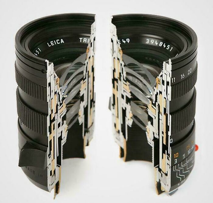 Wait 'Til You See These Everyday Things Sliced In Half—Mind Blown!