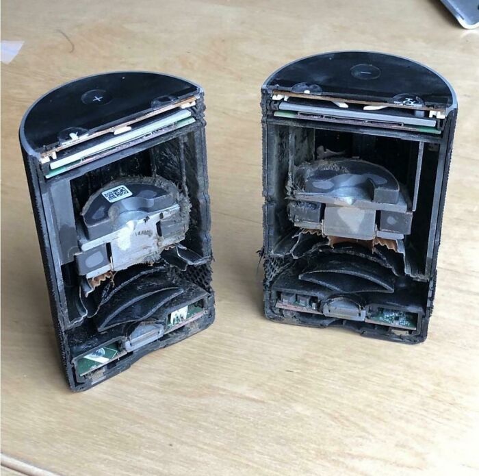 Wait 'Til You See These Everyday Things Sliced In Half—Mind Blown!