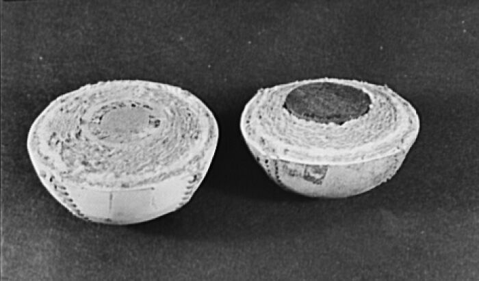 Wait 'Til You See These Everyday Things Sliced In Half—Mind Blown!