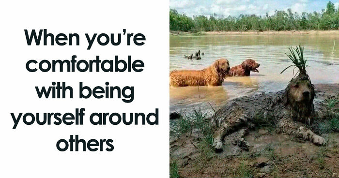 These Animal Memes Are So Funny You’ll Forget Your Problems