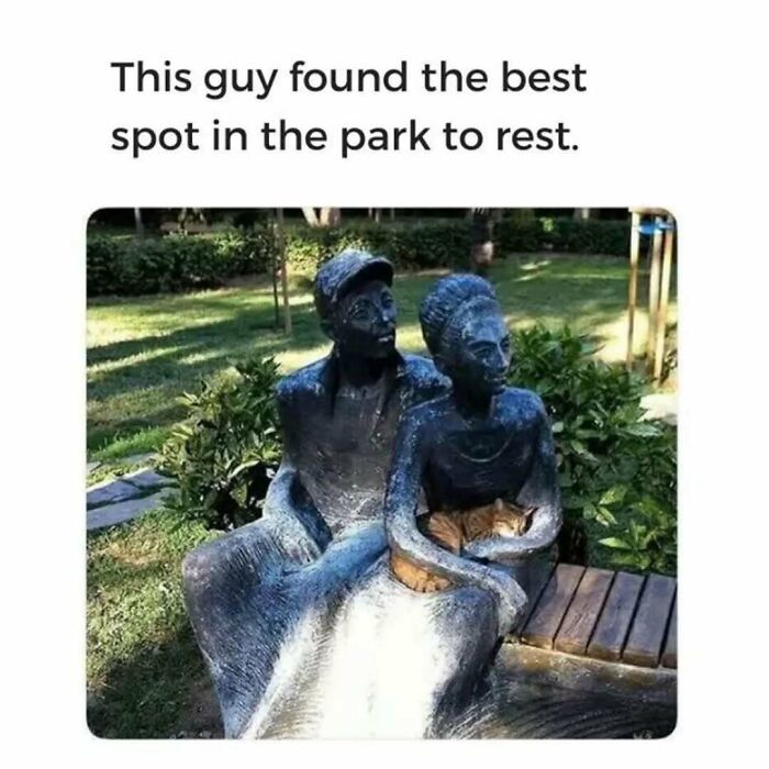 These Animal Memes Are So Funny You'll Forget Your Problems