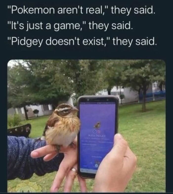 These Animal Memes Are So Funny You'll Forget Your Problems