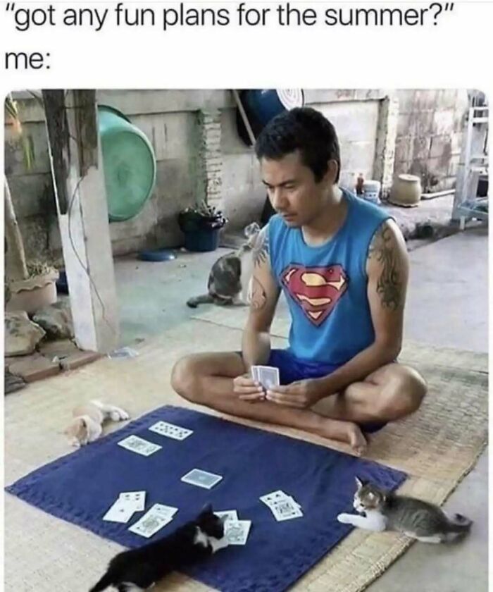 These Animal Memes Are So Funny You'll Forget Your Problems