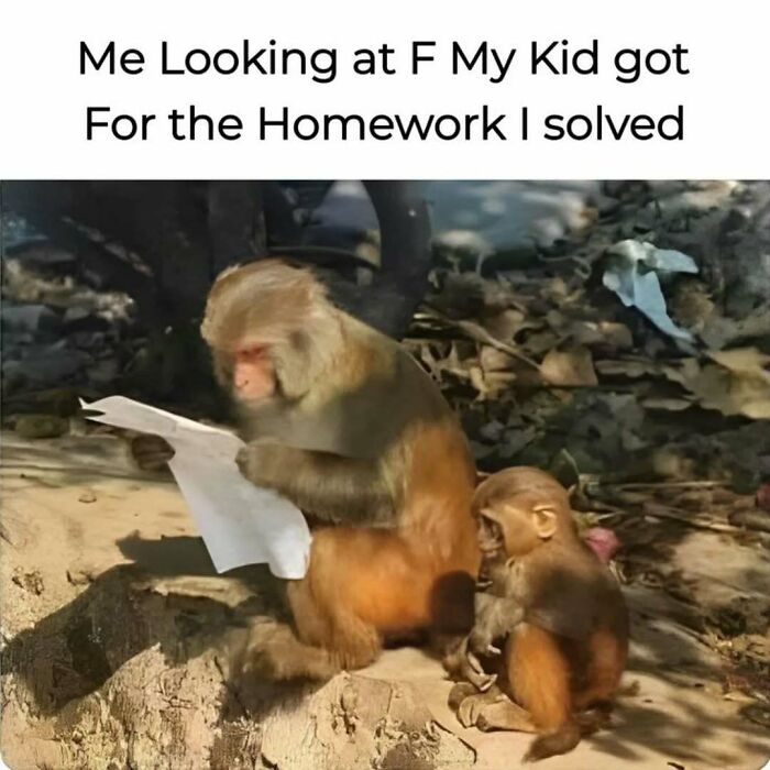 These Animal Memes Are So Funny You'll Forget Your Problems