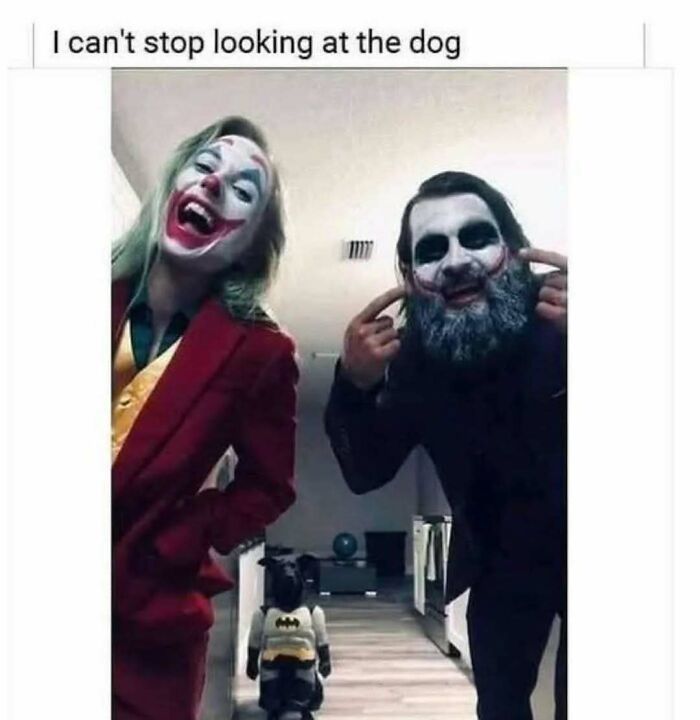 These Animal Memes Are So Funny You'll Forget Your Problems