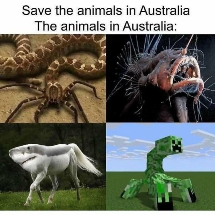 These Animal Memes Are So Funny You'll Forget Your Problems