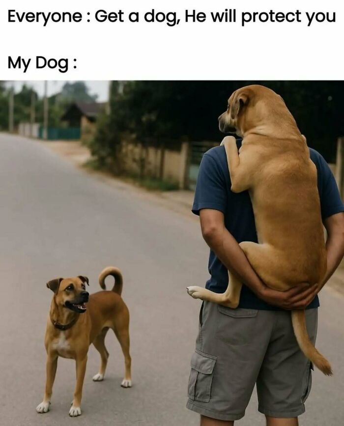 These Animal Memes Are So Funny You'll Forget Your Problems