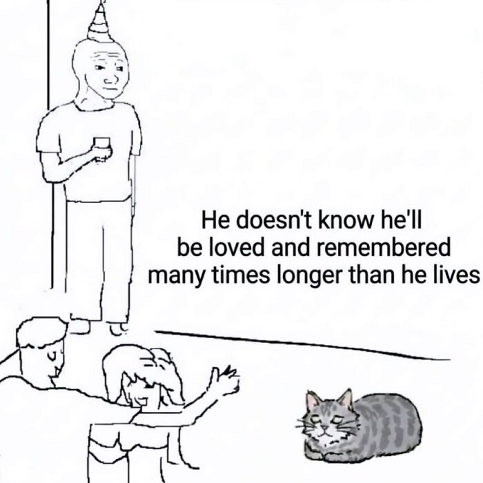 These 108 Memes Are Basically a Hug for Your Brain