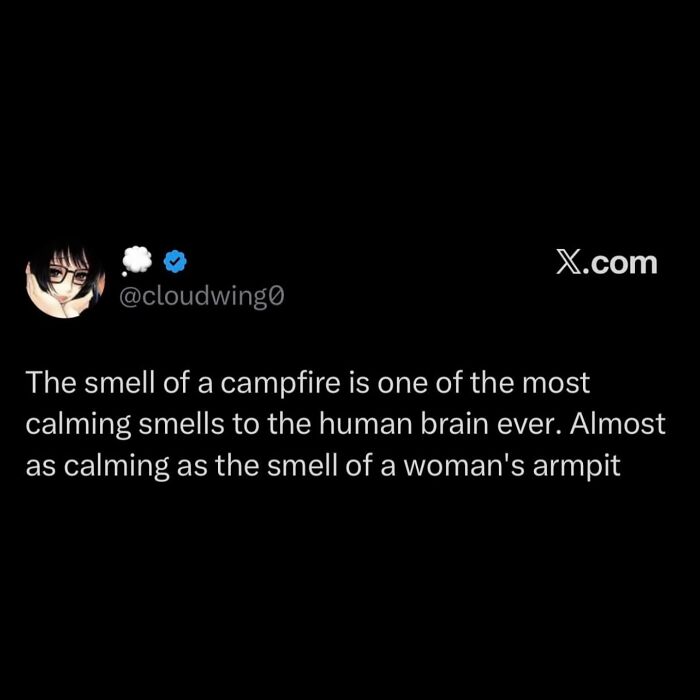 These 108 Memes Are Basically a Hug for Your Brain