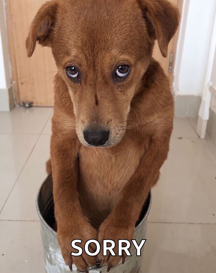 I Get Paid To Write Apologies. Yep, That’s A Thing