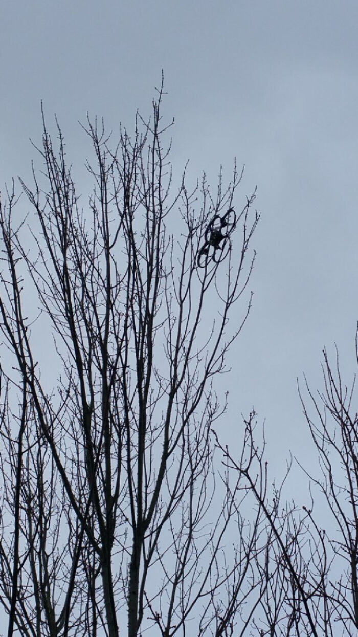 Drone Rescue Service! I Climb Trees To Save Stuck Drones For $75
