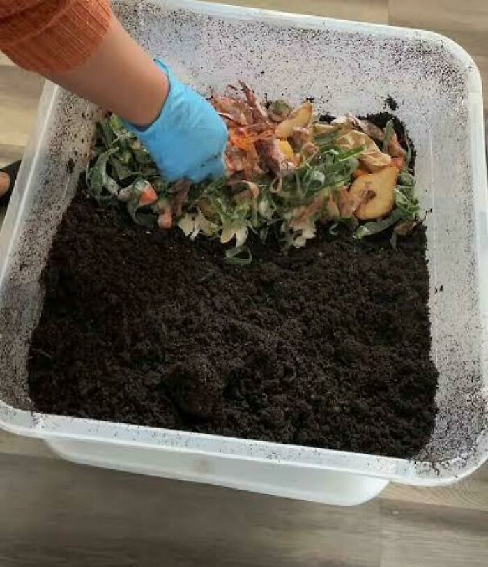 Worm Farming: Turning Coffee Grounds Into Money Bags of Black Gold!