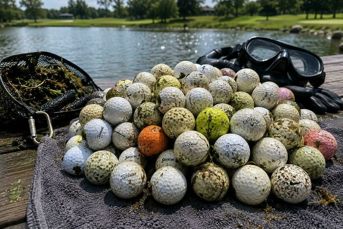 I Just Found Out Some People Get Paid Collecting Abandoned Golf Balls From Lakes