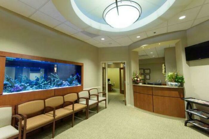 Dental Office Aquarium Cleaning: The Weirdest Office Gig You Didn’t Know About