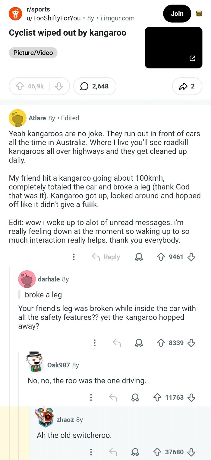 When a Kangaroo Has Other Plans for Your Bike Ride
