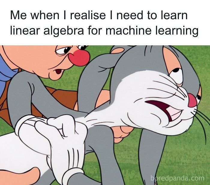 Wait, They Actually Ranked That?! 71 Statistician Memes That'll Make You Laugh Hard