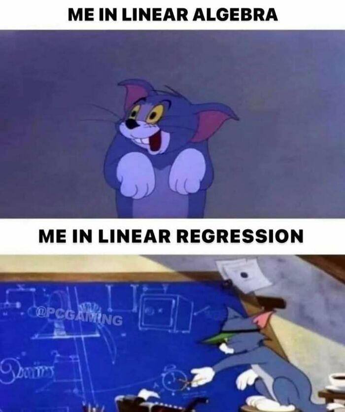 Wait, They Actually Ranked That?! 71 Statistician Memes That'll Make You Laugh Hard