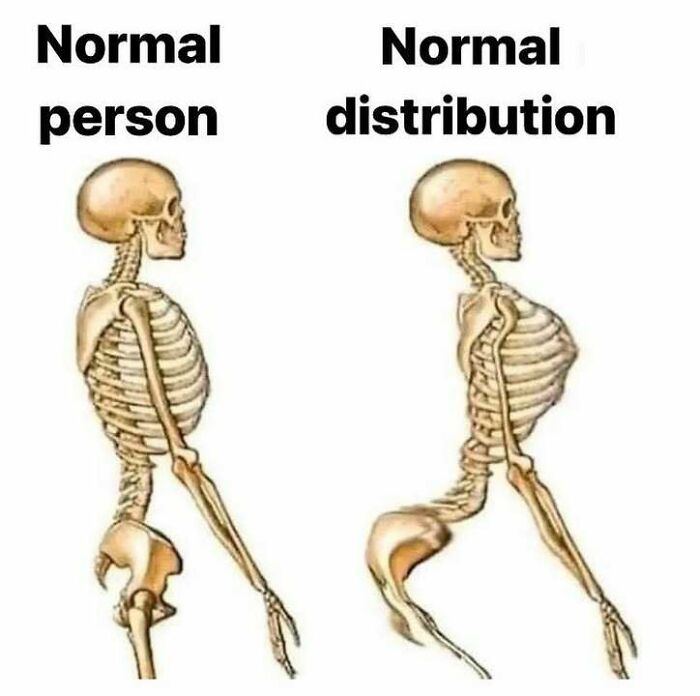Wait, They Actually Ranked That?! 71 Statistician Memes That'll Make You Laugh Hard