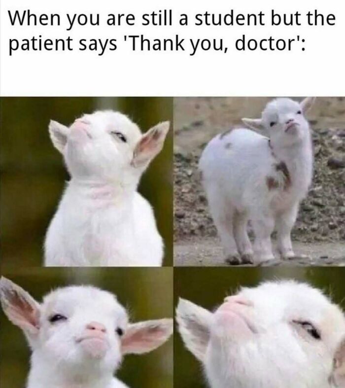 LOL Alert: 85 Medical Memes That Perfectly Nail Doctor Life
