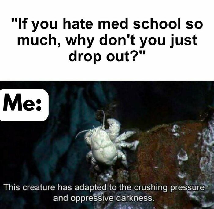 LOL Alert: 85 Medical Memes That Perfectly Nail Doctor Life