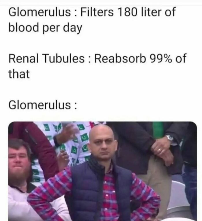 LOL Alert: 85 Medical Memes That Perfectly Nail Doctor Life
