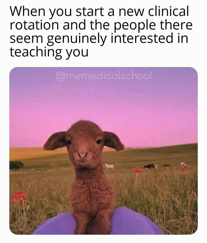 LOL Alert: 85 Medical Memes That Perfectly Nail Doctor Life