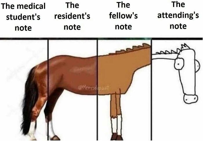 LOL Alert: 85 Medical Memes That Perfectly Nail Doctor Life