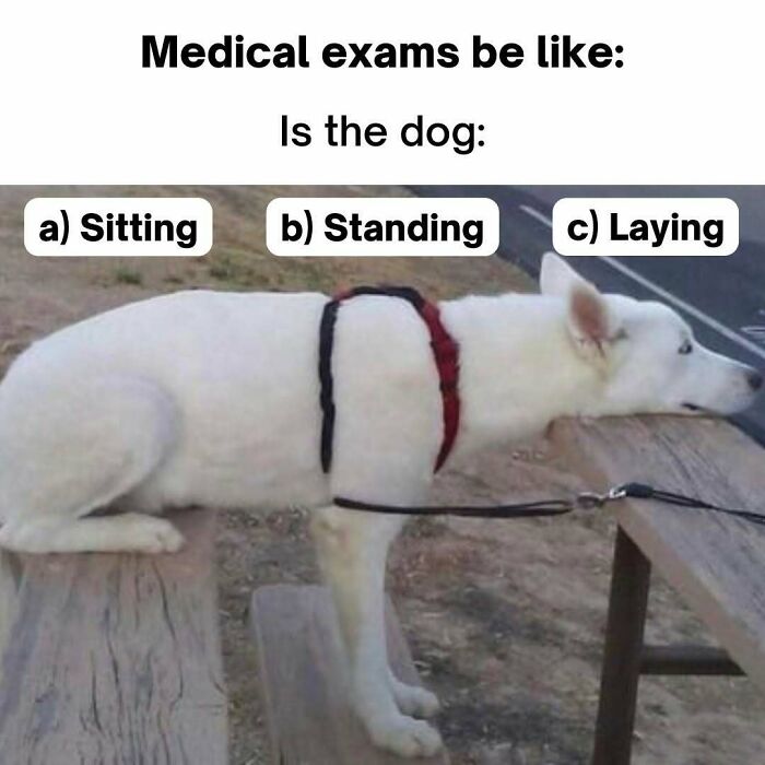 LOL Alert: 85 Medical Memes That Perfectly Nail Doctor Life