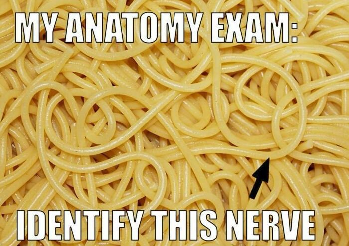 LOL Alert: 85 Medical Memes That Perfectly Nail Doctor Life