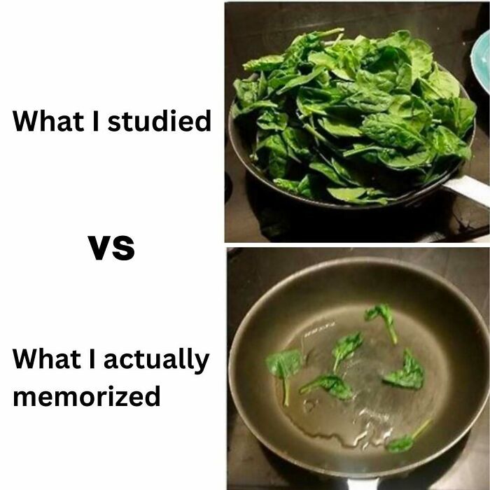 LOL Alert: 85 Medical Memes That Perfectly Nail Doctor Life