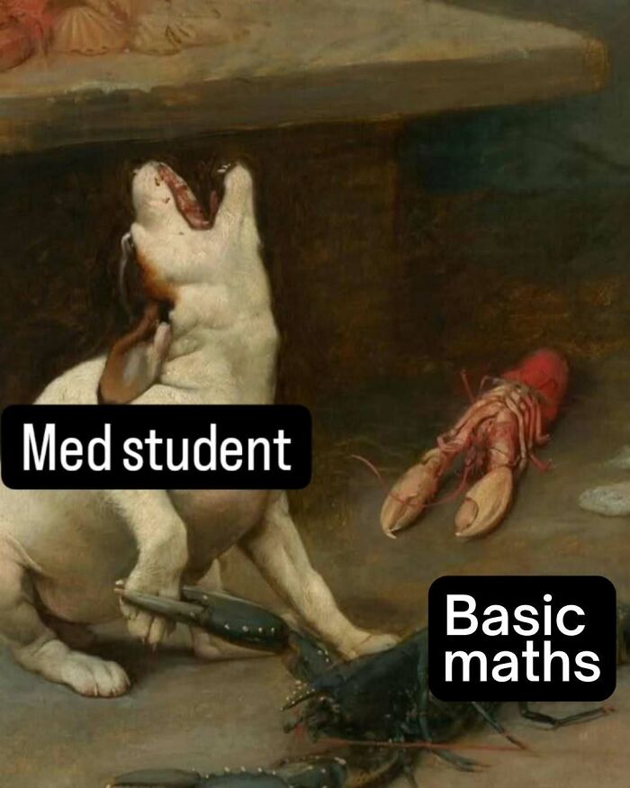 LOL Alert: 85 Medical Memes That Perfectly Nail Doctor Life