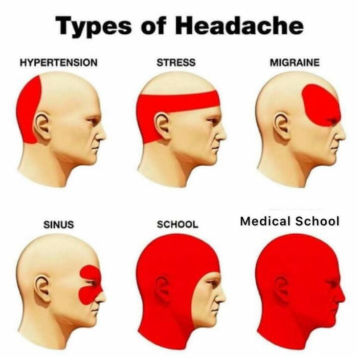 LOL Alert: 85 Medical Memes That Perfectly Nail Doctor Life