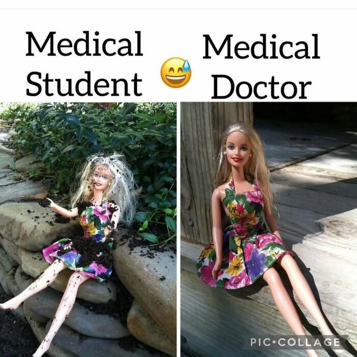LOL Alert: 85 Medical Memes That Perfectly Nail Doctor Life