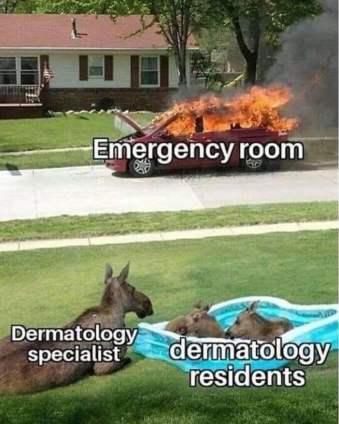 LOL Alert: 85 Medical Memes That Perfectly Nail Doctor Life