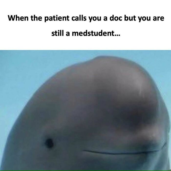 LOL Alert: 85 Medical Memes That Perfectly Nail Doctor Life