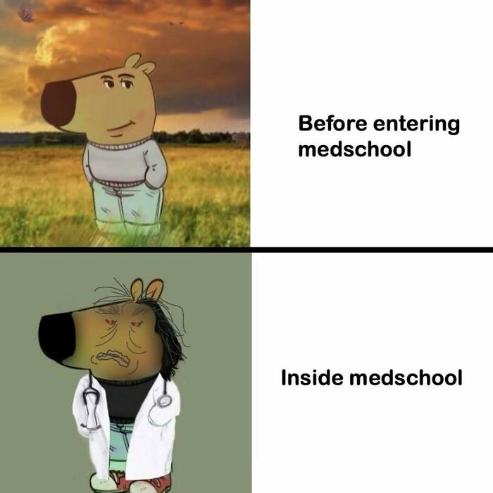 LOL Alert: 85 Medical Memes That Perfectly Nail Doctor Life