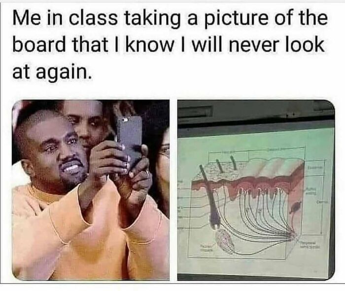 LOL Alert: 85 Medical Memes That Perfectly Nail Doctor Life