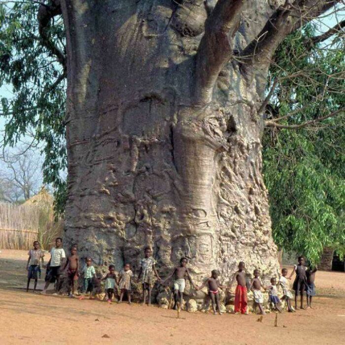 Wait, These Weird Earth Things Actually Exist?!