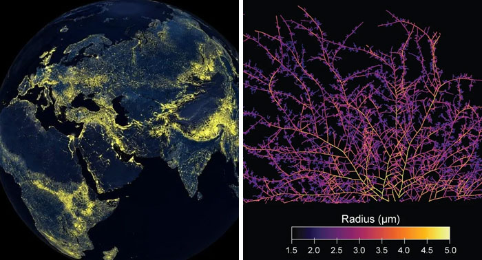 Wait, These Weird Earth Things Actually Exist?!