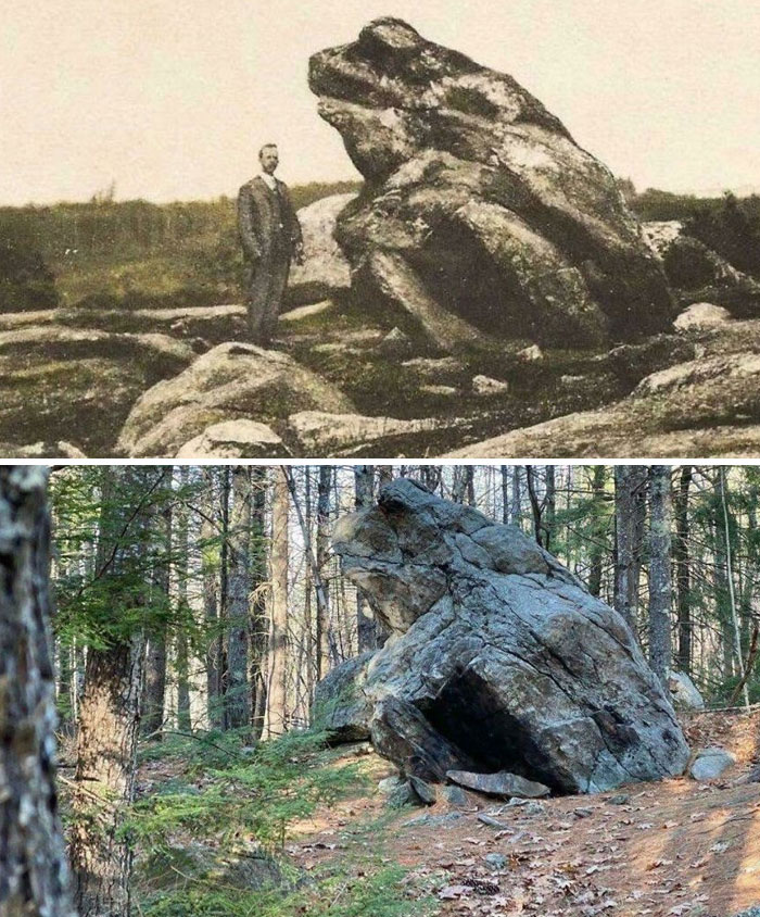 Wait, These Weird Earth Things Actually Exist?!