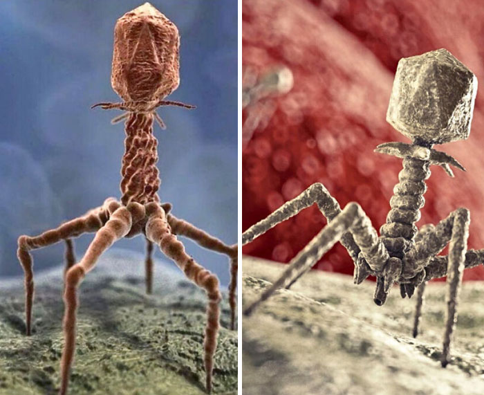 Wait, These Weird Earth Things Actually Exist?!