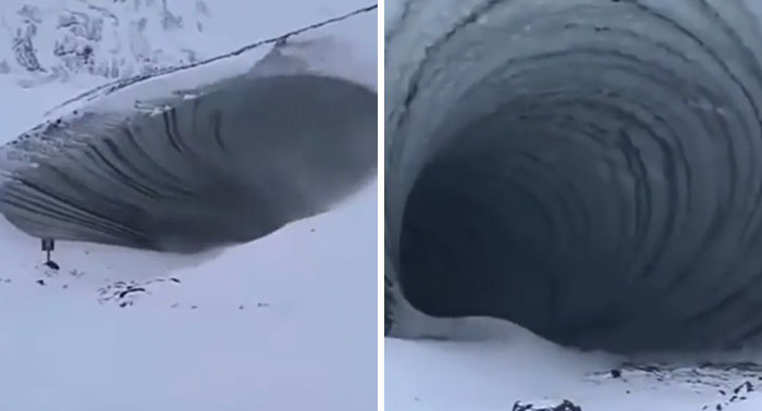 Wait, These Weird Earth Things Actually Exist?!